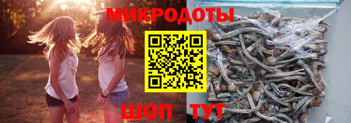 Галлюциногенные грибы прущие грибы  Вход с VPN  Когалым  Псилоцибиновые грибы прущие грибы 